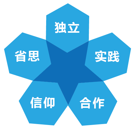 图片6.png